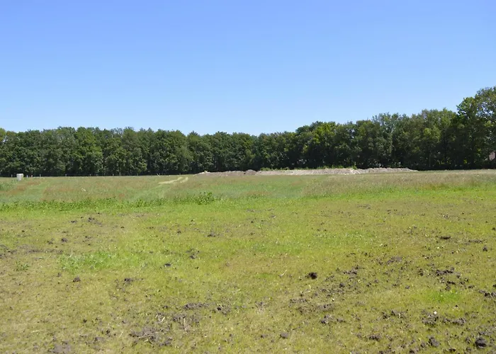 Hoeve Twente - De Oeverzwaluw *