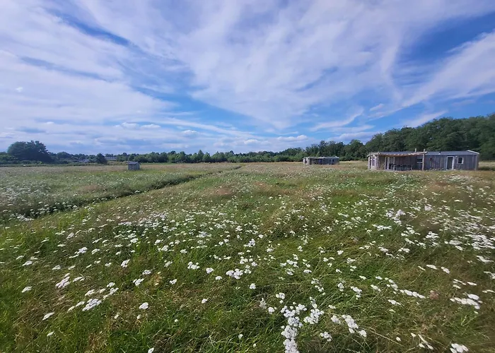 Domek alpejski Hoeve Twente - De Oeverzwaluw Heythuysen