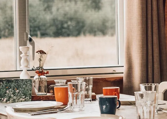 Hoeve Twente - De Oeverzwaluw