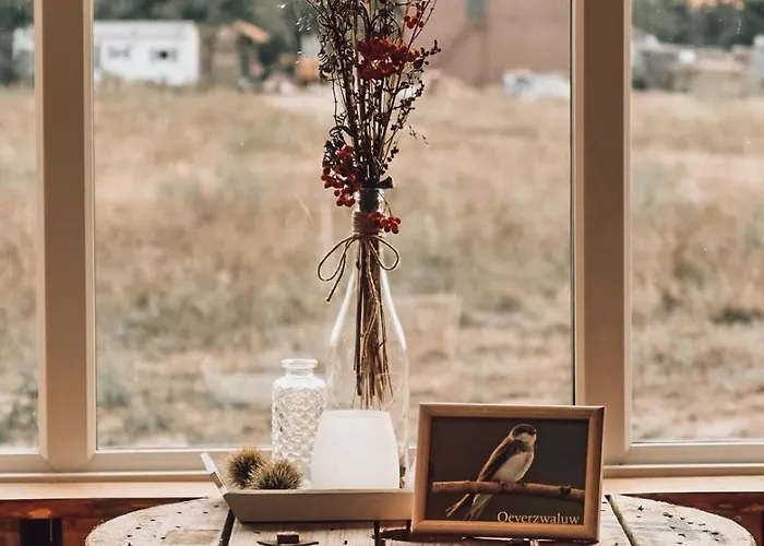 Domek alpejski Hoeve Twente - De Oeverzwaluw